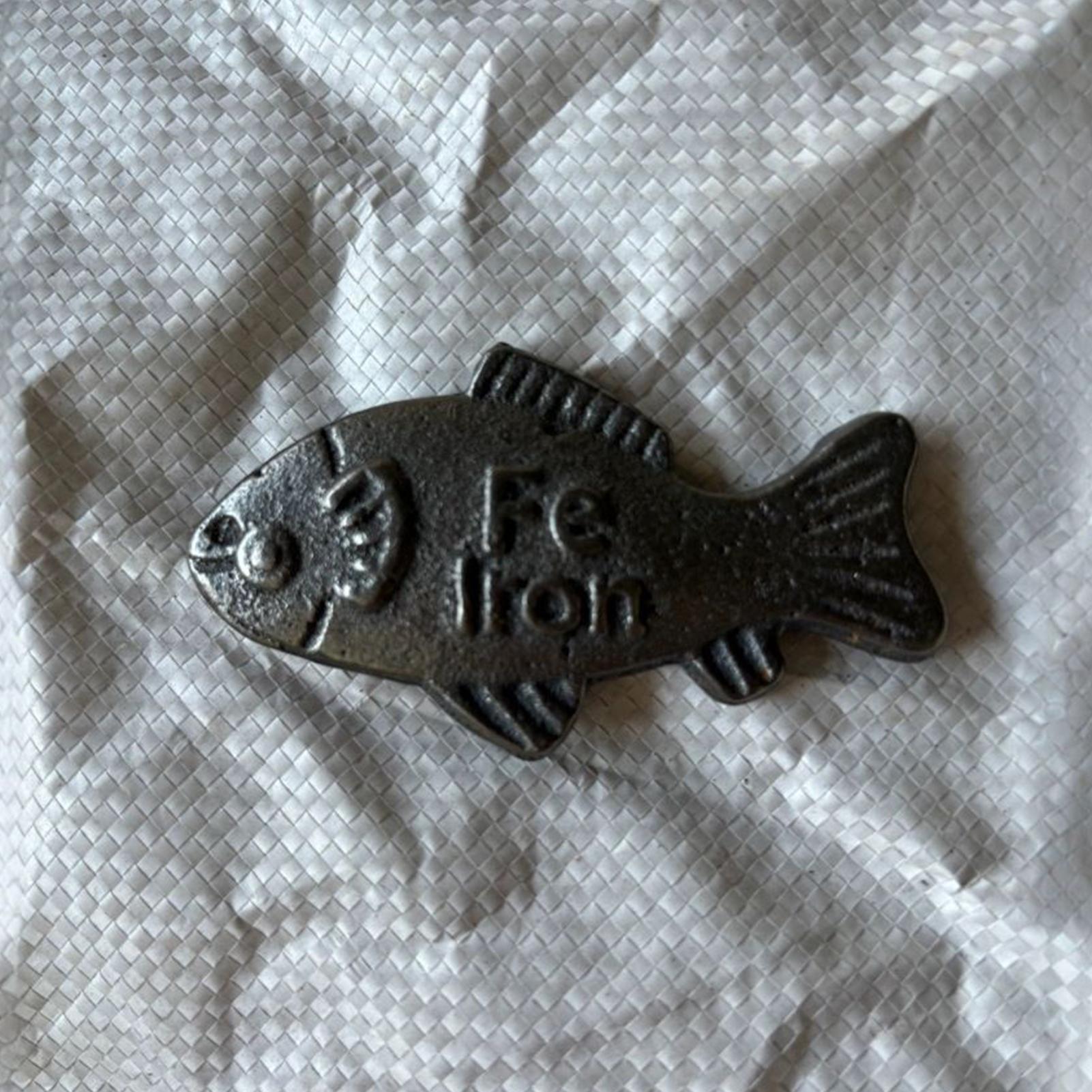 2 Pieces Iron Fish Natural Sou - مراجعة Dosa Pan Iron وسعره