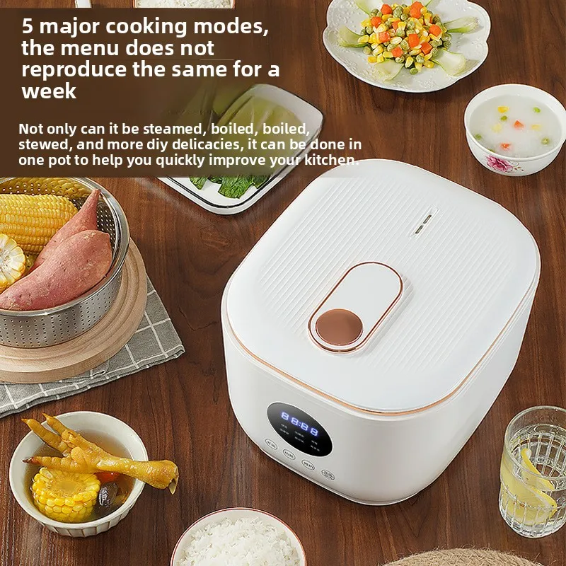 3L Home Smart Rice Cooker Sche - مراجعة Home Cooking Food Delivery وسعره